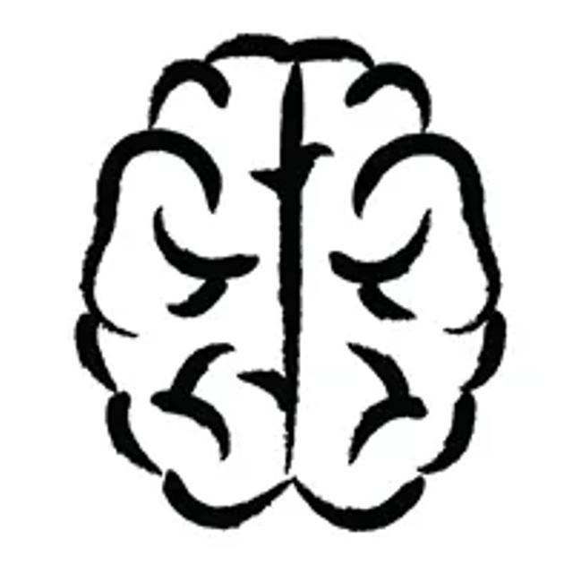 Brain drawing