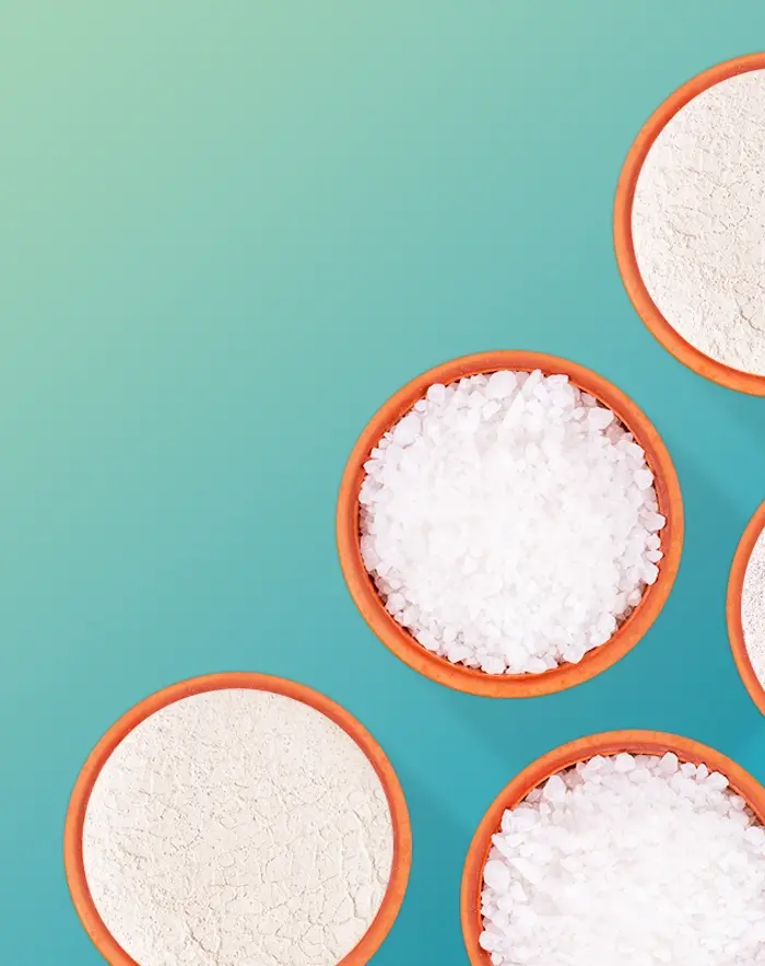 Overhead view of bowls of white granular material yolo1