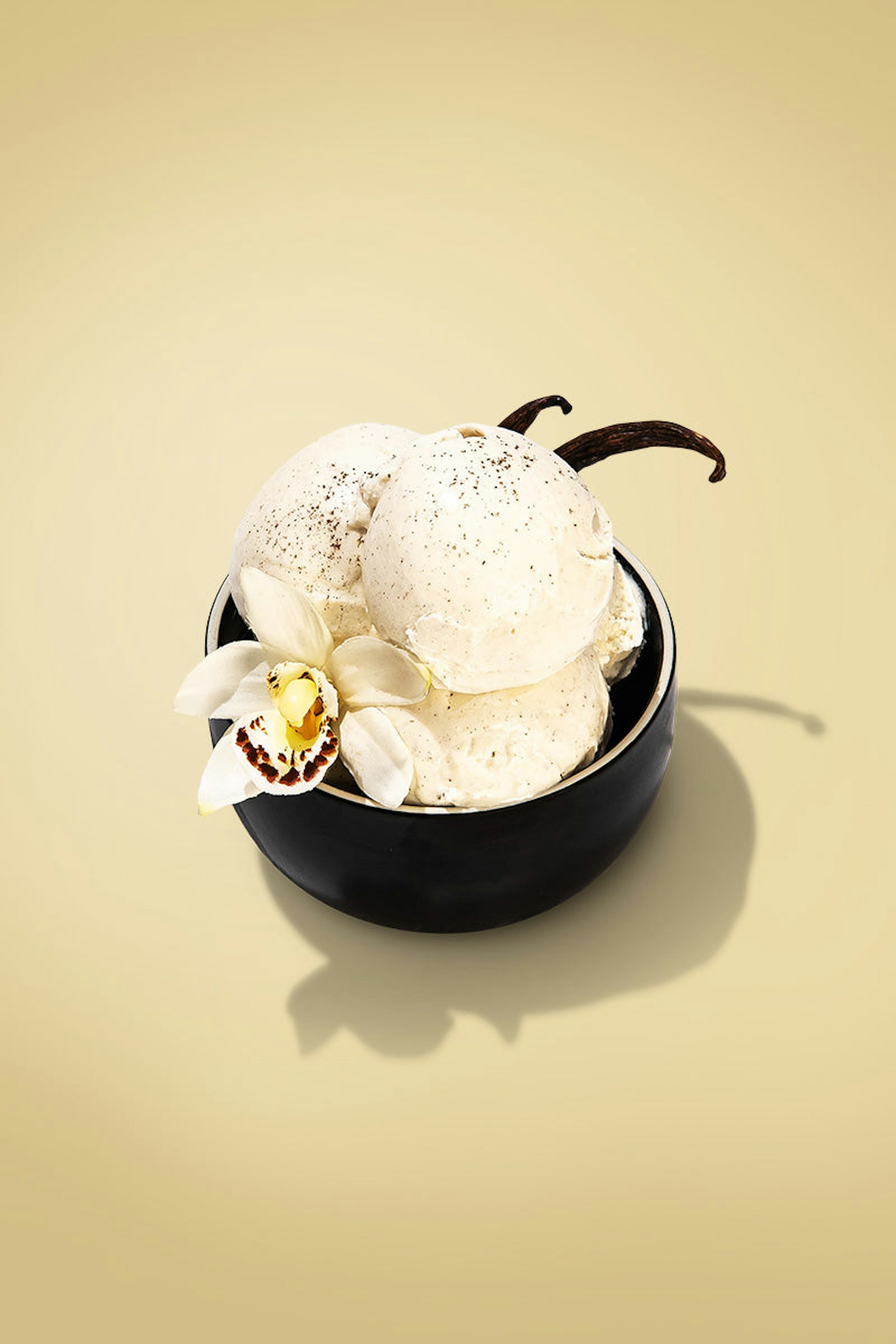 A small bowl with scoops of vanilla ice cream and decorated with the flower of a vanilla plant