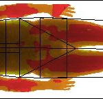 heat map of body