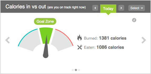 calories in vs calories out gauge