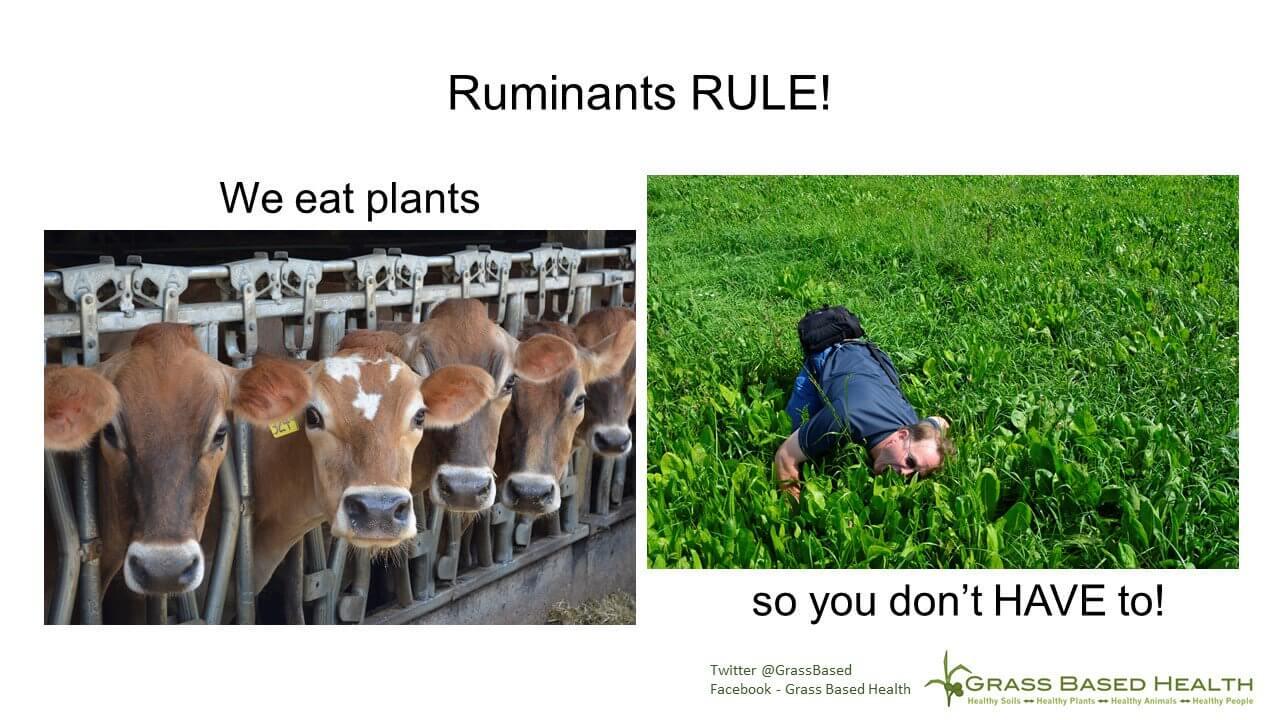 ruminants rule! we (the cows) eat plants so you (the humans) don't have to