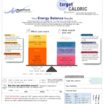 meta check. target caloric zones image