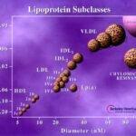 lipoprotein subclasses chart