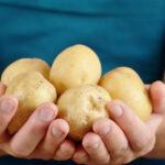 keto substitutes for potatoes