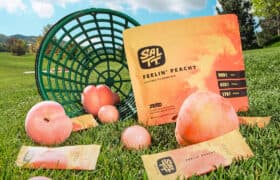image showing SALTT Feelin' Peachy product on grass