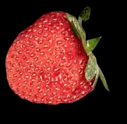 A whole fresh red strawberry with a green leafy stem attached on the right side. The fruit has a textured surface with many small yellow seeds visible. The image includes a soft drop shadow.