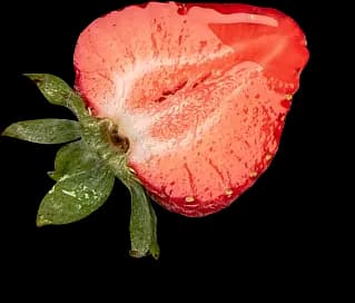 A close-up cross-section of a fresh red strawberry with green leaves attached at the base. The sliced fruit reveals a juicy red interior and tiny seeds. The image includes a soft drop shadow.