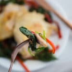 Close up-chicken, spinach and red pepper on a fork.