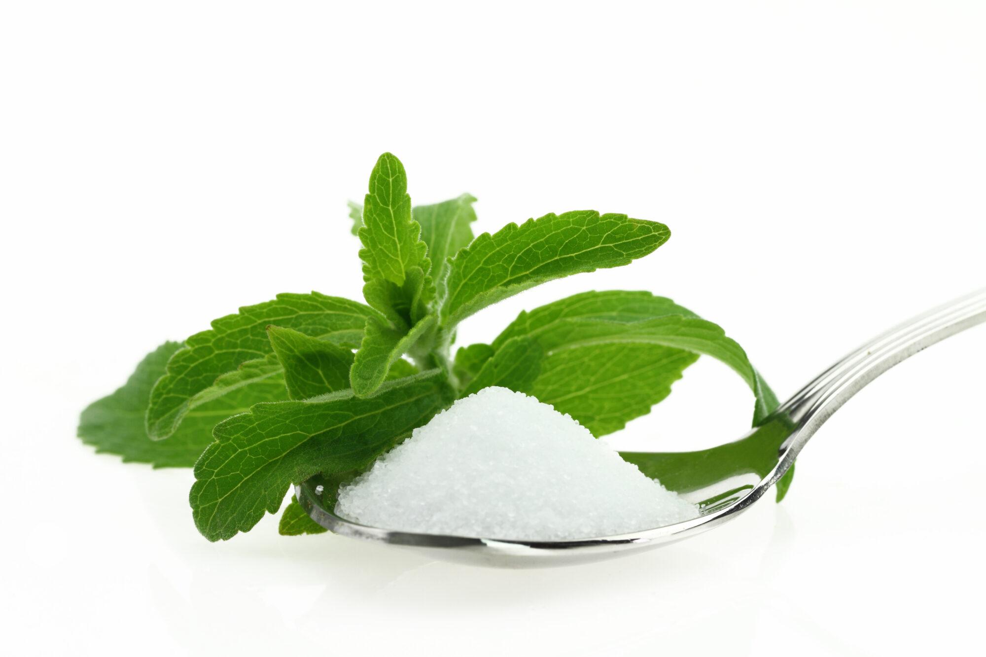 stevia plant with granulated stevia in foreground